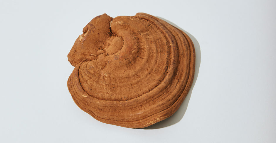 6 Insane Benefits of Reishi Mushrooms