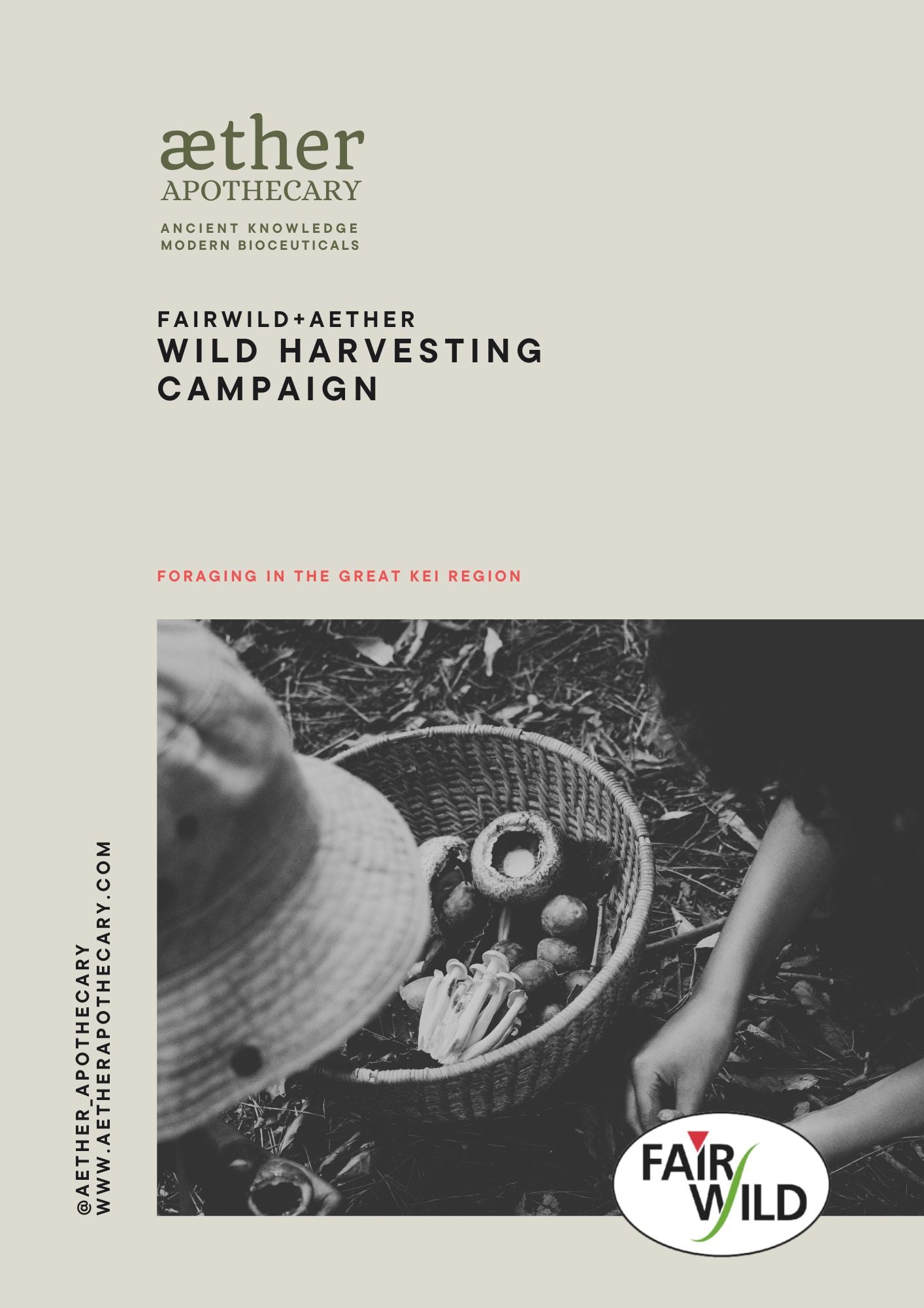 Fairwild Harvesting Campaign - Reishi & Gotu Kola