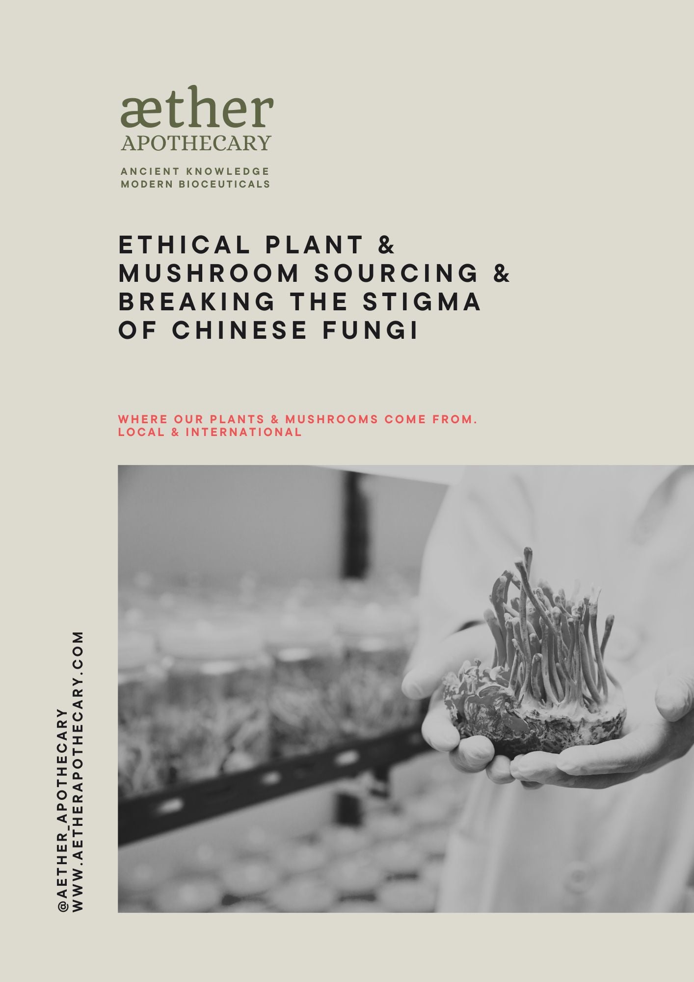 ETHICAL PLANT & MUSHROOM SOURCING ( breaking the stigma of chinese fungi )